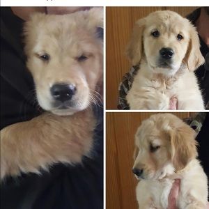 Meet your Posher, Karin